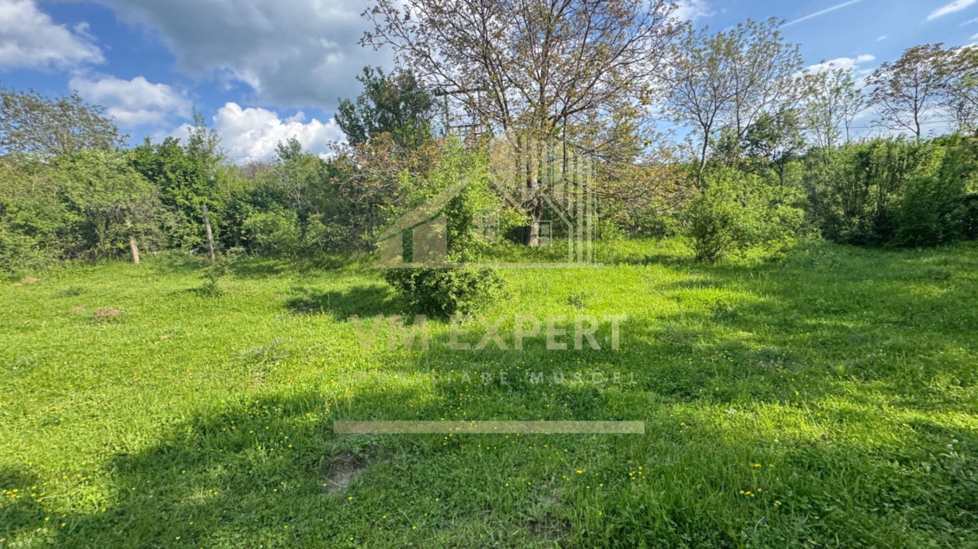 TEREN INTRAVILAN 2943 MP CAMPULUNG - Poză 9