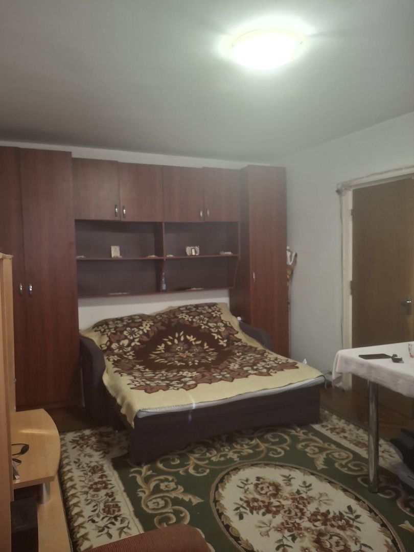 Vanzare apartament 2 camere Titan -Camil Ressu, Park Lake - Poză 3
