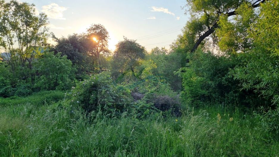Teren Intravilan Ilisesti/Suceava - Poză 12
