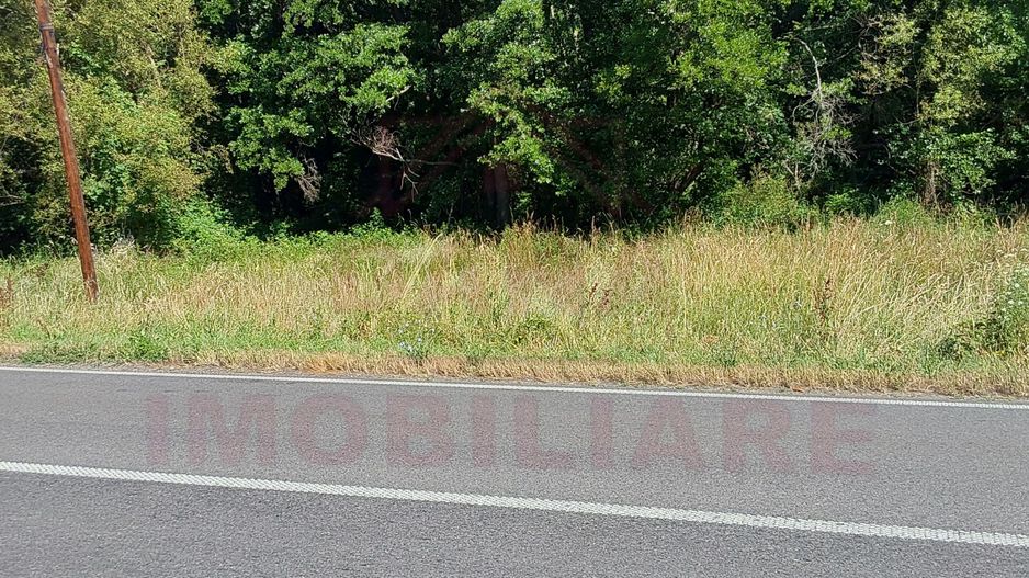 TEREN INTRAVILAN ÎN MARGA-LA DN68 JUD.CARAȘ-SEVERIN - Poză 2