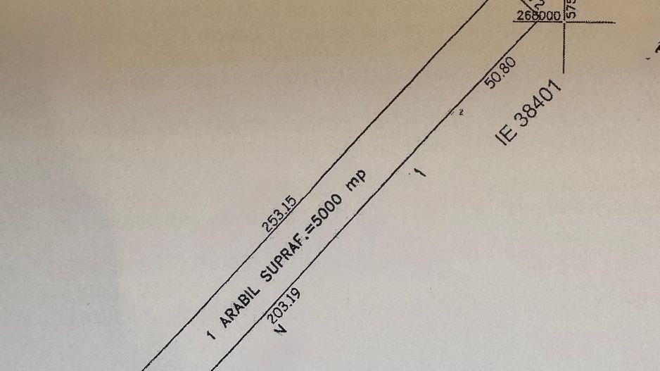 Teren extravilan de vânzare – Șos. Ghizdarului - Poză 1