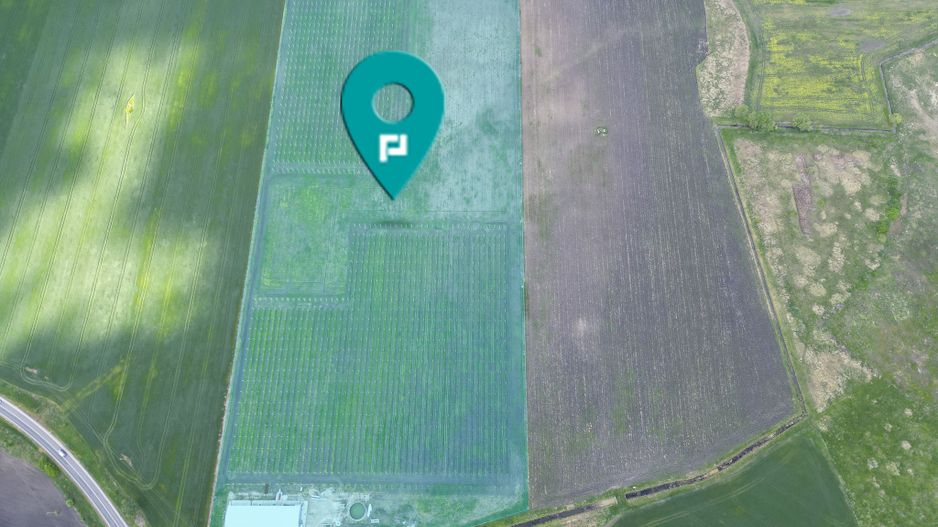 Oportunitate investiție: Livadă de Cireși și Hală - Poză 2