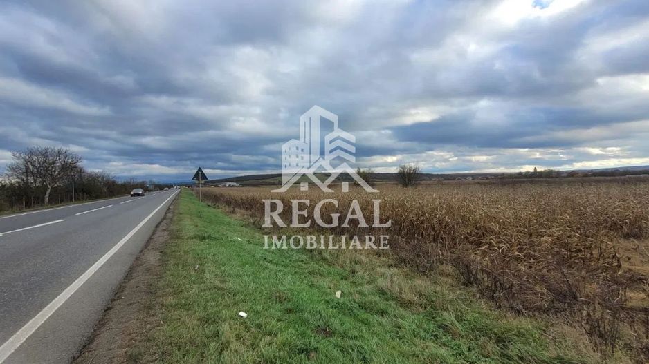 Teren intravilan 3800 mp, zona Santandrei - Poză 1