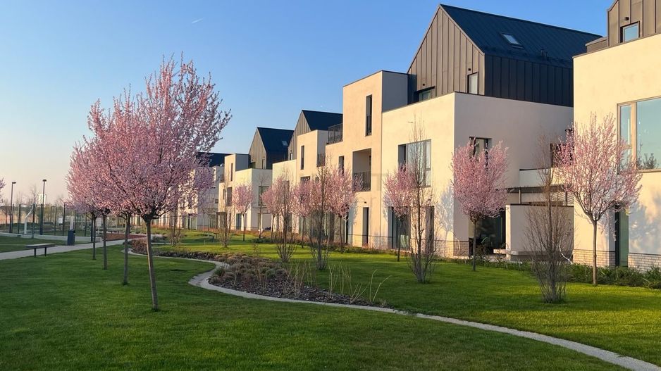 Vila 6 camere / Townhouse Avalon Estate - Poză 2