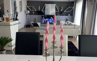 Casa individuala Dumbravita - Poză 58