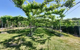 Teren intravilan 2.158 mp - Tropinii Noi, Sibiu | 2 parcele | Zonă Dumbrava - Poză 2