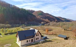 Proprietate cu potențial turistic în zona montană a Țării Lăpușului - Poză 35