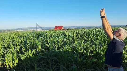 Teren intravilan de vanzare, 810 mp, Rediu, strada 1 Decembrie - Poză 2
