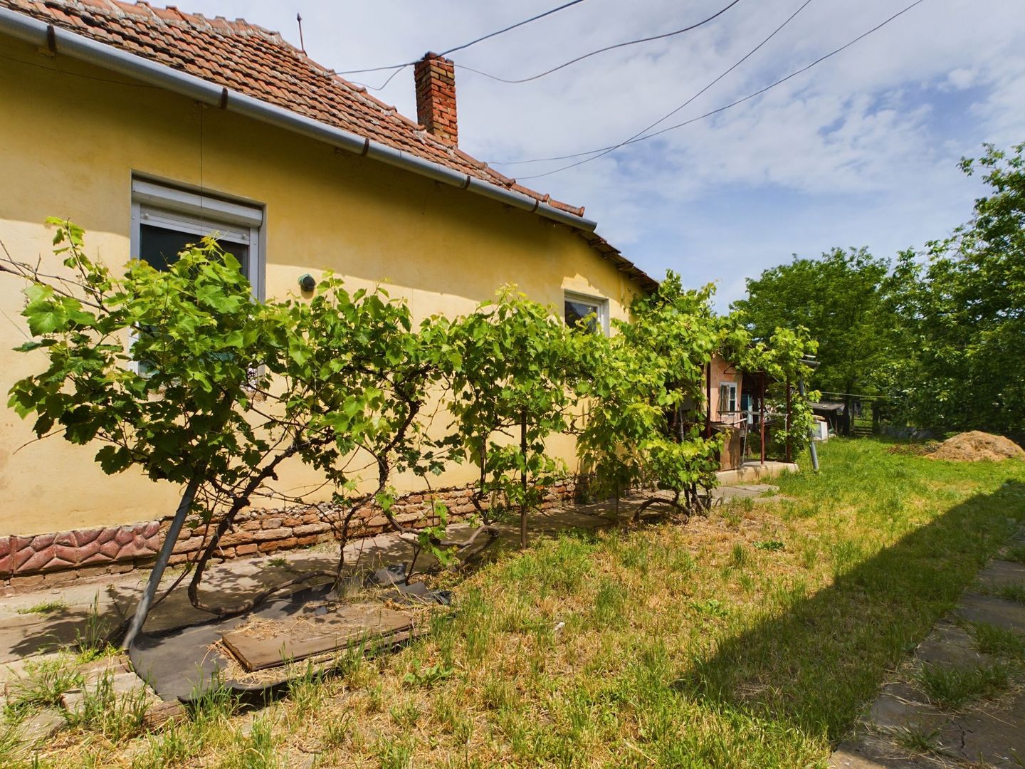 Casă cu teren generos la graniță cu România - Poză 8