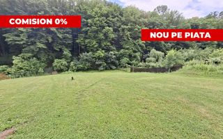 Teren intravilan 1203 mp Bascov-Florea zona Superba - Poză 1