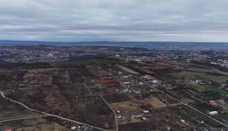 Teren Intravilan, Nicolae Beldiceanu