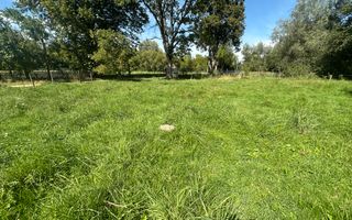 Teren 15 Ari | Cu Iaz & Terasat | Drumul Principal | 40.000 € - Poză 4