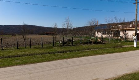 Loc de casă în Odvoș - Conop 3000mp
