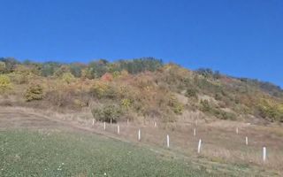 Teren de vanzare in Corunca –5.000 mp /55.000 EUR - Poză 2