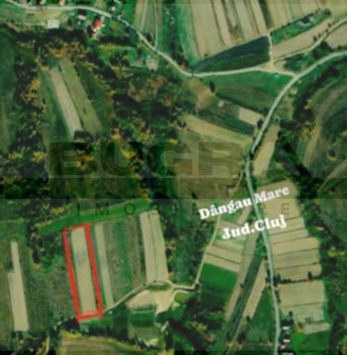 Teren extravilan, 4265 mp, zona Dangau Mare - Poză 1