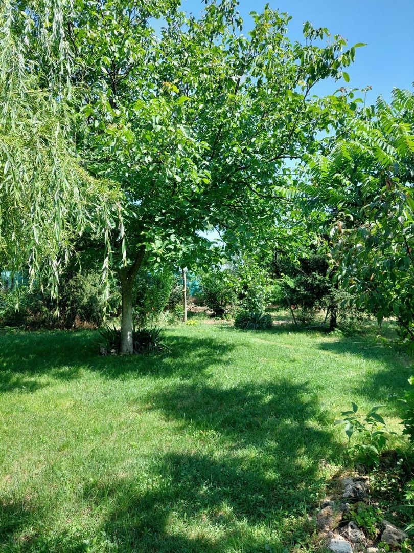 Casa 3 camere Parter Giurgiu Com Bucsani - Poză 1