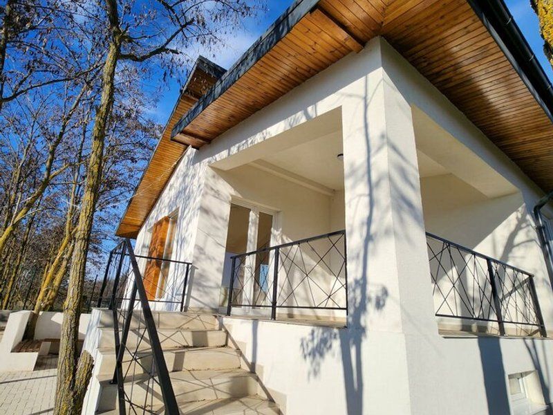 Vila individuala Snagov Tancabesti padure - Poză 1