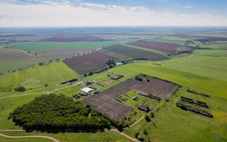 Teren de 69188 mp în Seceani - Poză 3