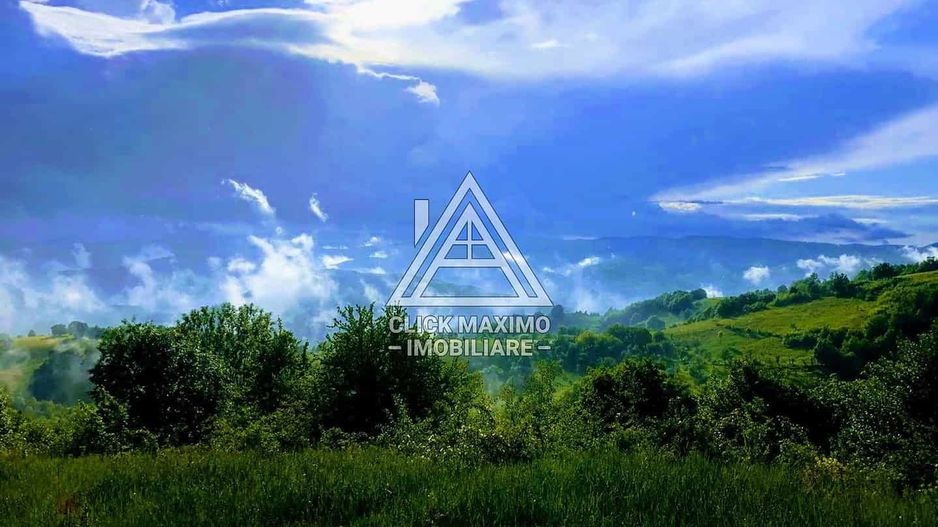 CASĂ și TEREN 85.000 mp – Casa părintească Părintele Arsenie Boca - Poză 11