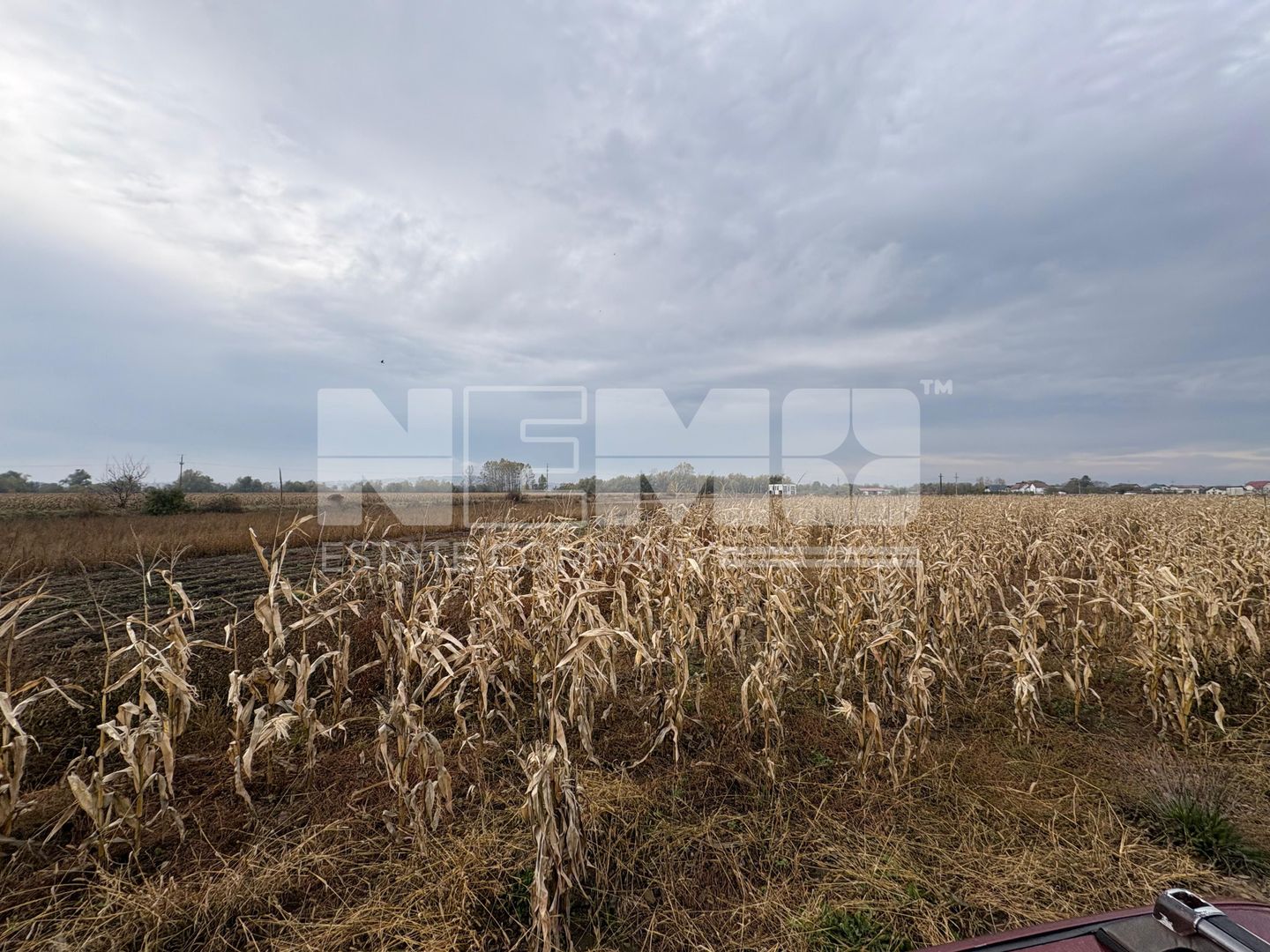 Teren de vânzare | 52 ari | intravilan | Zonă liniștită | Rădăuți - Poză 4