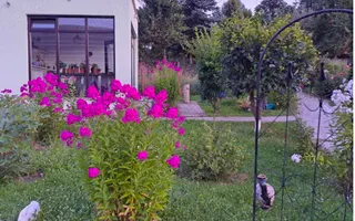 VILA DE VANZARE, CAMPULUNG, ZONA MARCUS, 150 MP, TEREN 1843 MP - Poză 18