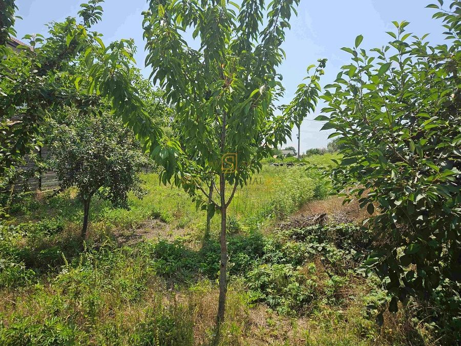 Teren de vanzare, 561 mp, strada Cetatea Alba, Mamina, Comuna Berceni - Poză 5