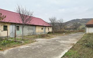Casa cu 3 Hale si teren 8000 mp in Ulileacu de Cris, Bihor - Poză 7