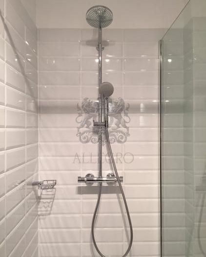Apartament in Vila | Dorobanti | 221 mp | Parter Inalt + Demisol - Poză 10