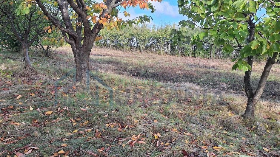 Terenuri intravilane în Horlești-Rediu, Iași, zone rezidențiale - Poză 1