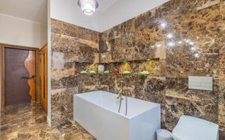 Casa din Natura Balotesti-6300 mp teren-Acces privat la lac si ponton propriu - Poză 25