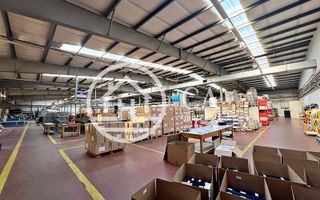 Hală de închiriat în zona industrială Santion, Bihor - Poză 5