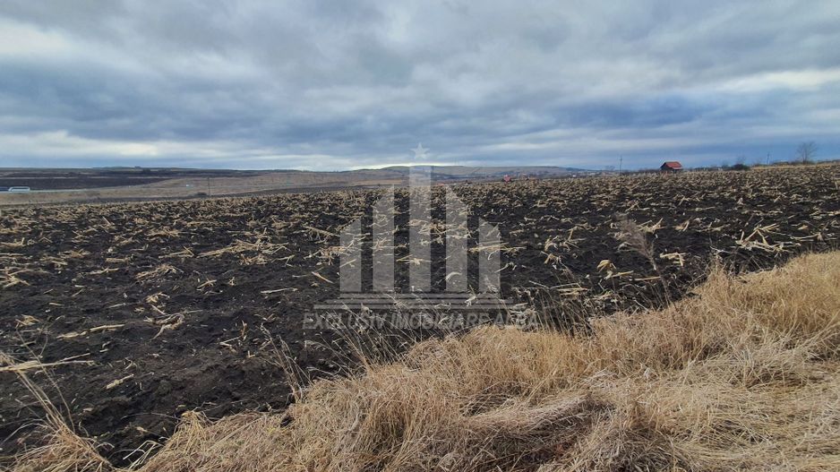 Vand teren extravilan - Poză 3