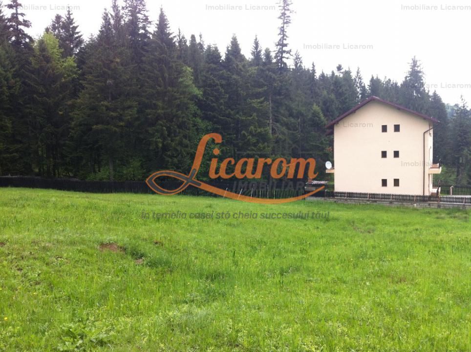 Teren intravilan Cotul Donului,pretabil Hotel/pensiune. - Poză 2