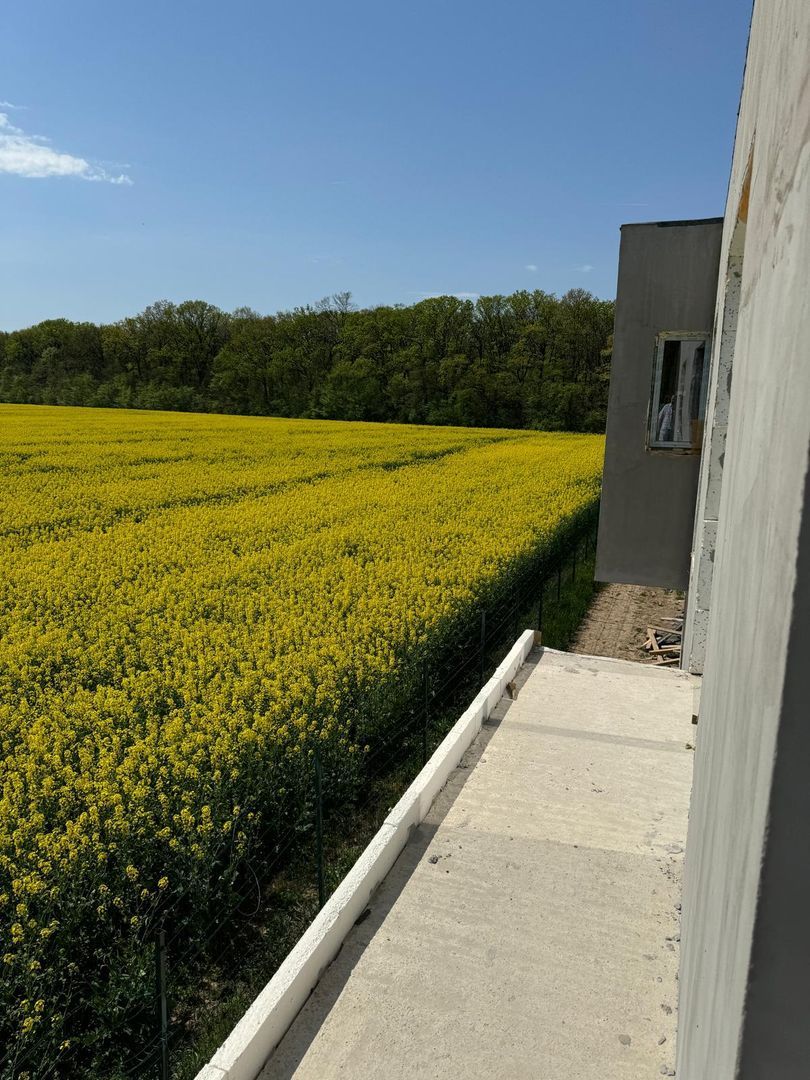 Vile Individuale Noi 4 camere Snagov Ghermanesti - Poză 12