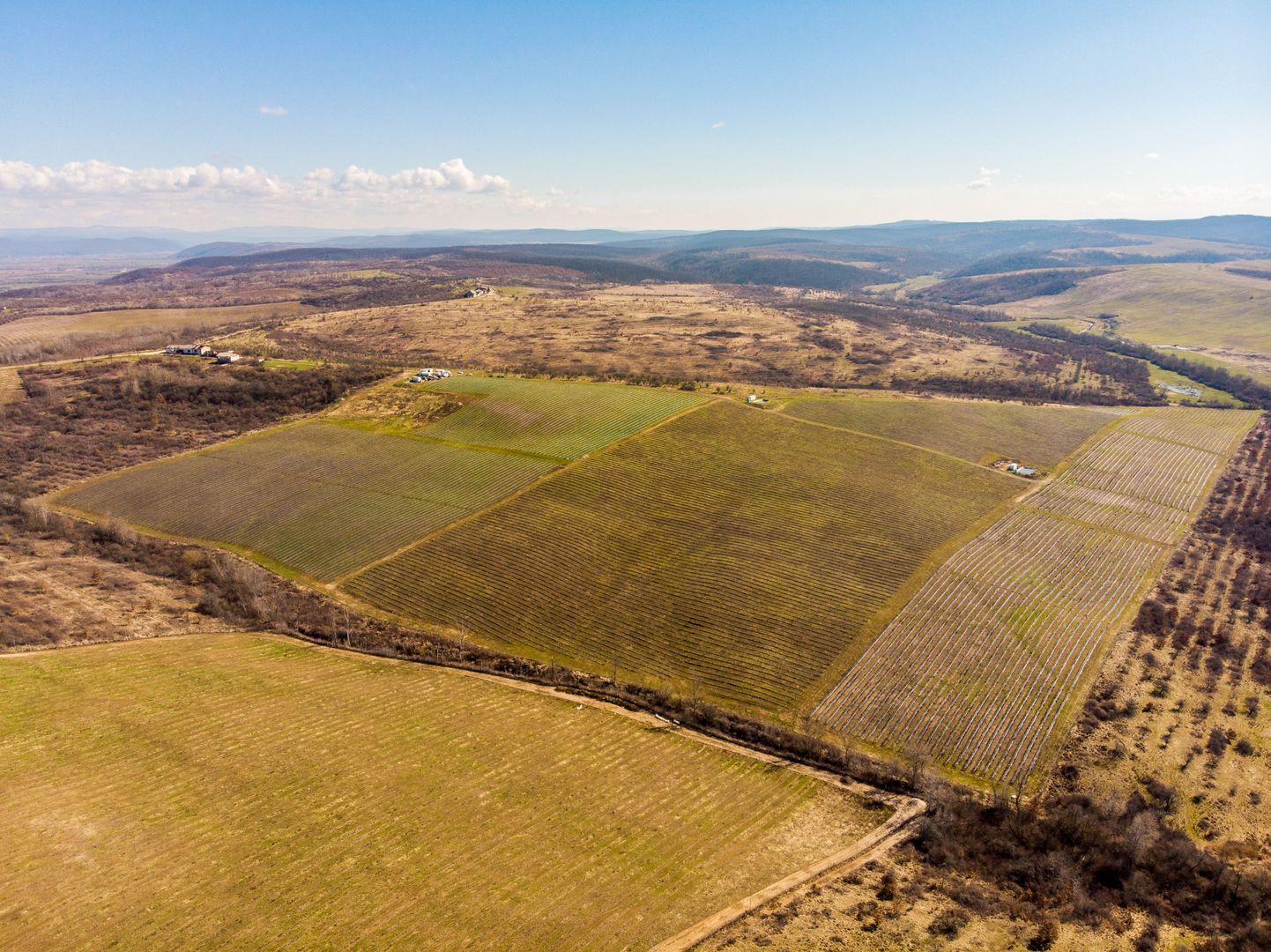 Plantație Bio de mure și zmeură  26,4 ha în Lipova - Poză 7