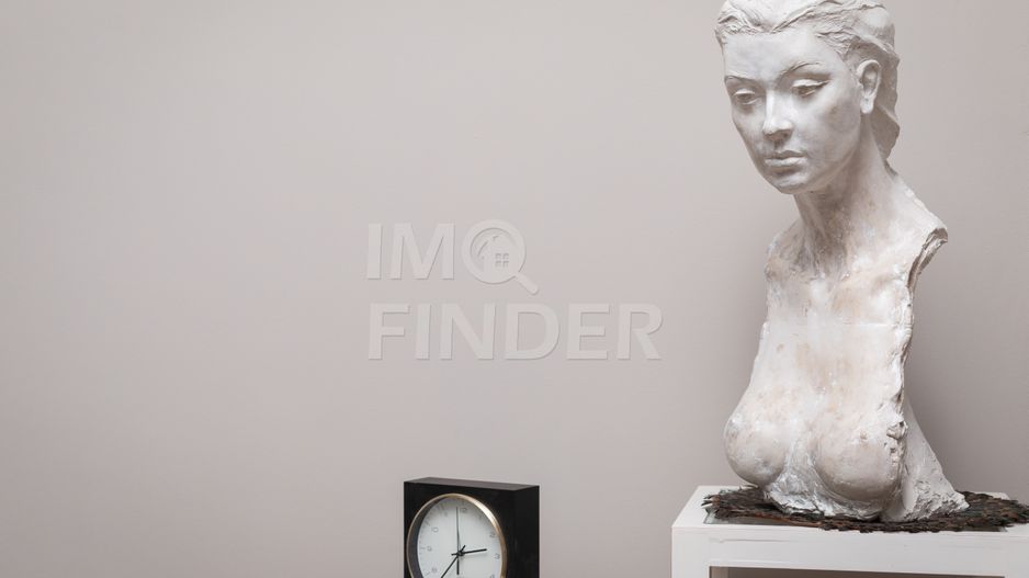 Afacere la cheie, 5 apartamente,  regim hotelier, Piata Unirii - Poză 29