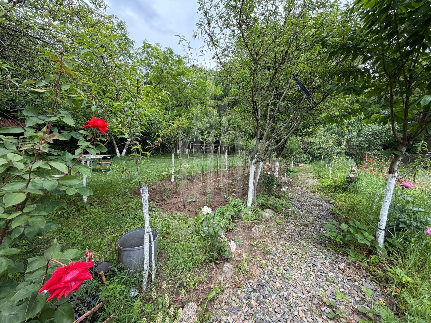 OCAZIE RARĂ - Teren cu cabană de vânzare lângă Lacurile Naturale - Ocna Sibiului - Poză 11