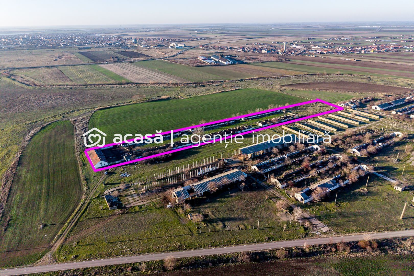NĂDLAC | Teren 1.15 HA lângă Autostradă | 2.500mp Hale - Poză 2
