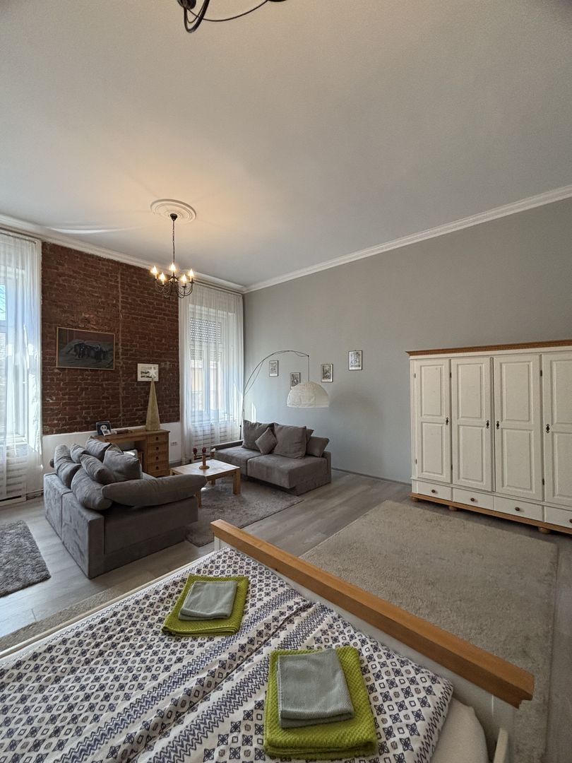 Apartament cu o camera în clădire istorică ,zona Maria - Poză 22