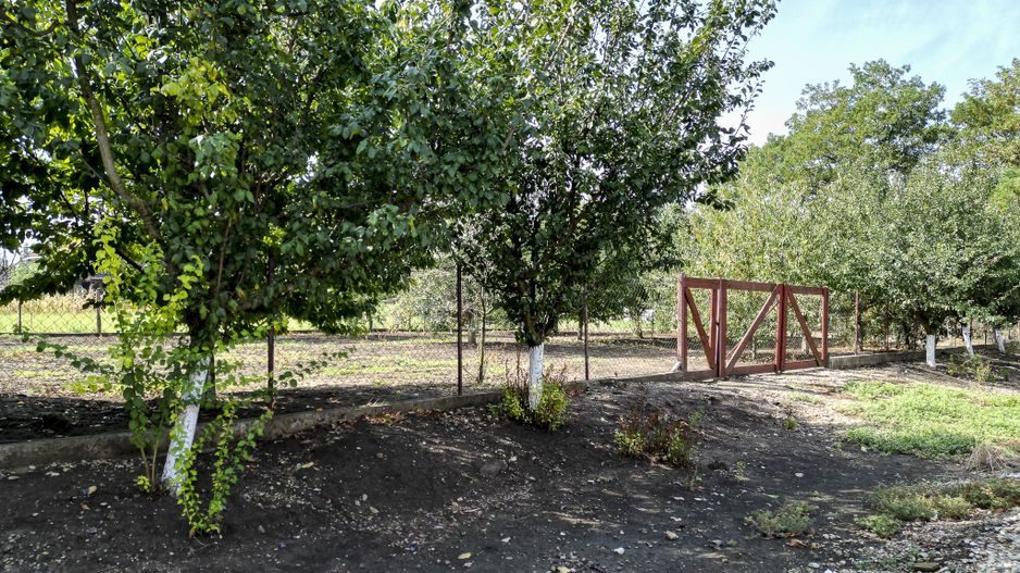 Teren intravilan localitatea Iratoșu - Poză 5