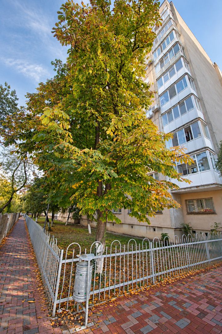 Garsoniera 30mpu+5mp balcon,1979, Campia Libertatii - metrou Muncii - Poză 13