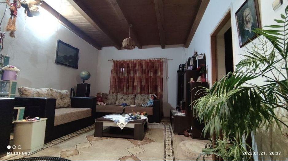 2 case in Vetis pe 30 ari - Poză 6