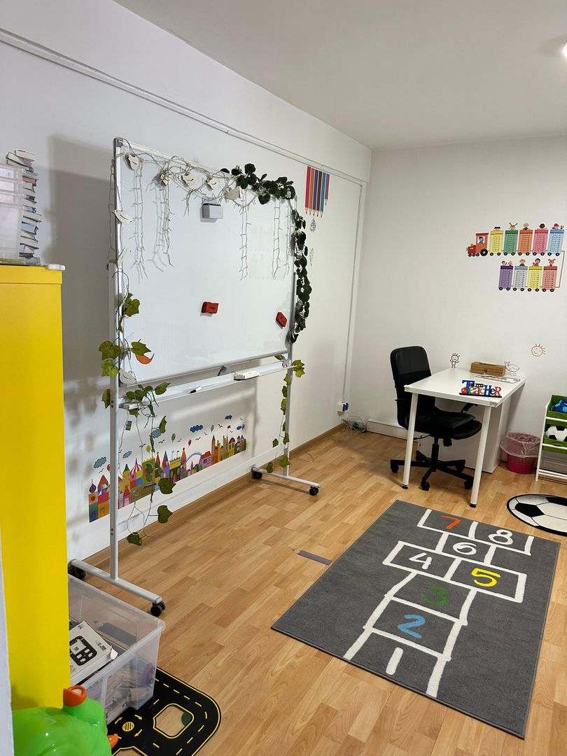 SPATIU COMERCIAL DOMENII, LOC PARCARE, CENTRALA, MOBILAT/UTILAT, CURTE - Poză 4