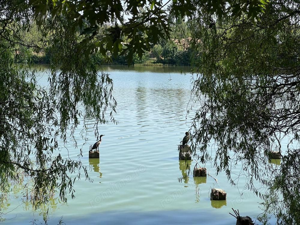 Inchiriere apartament 3 camere 119 mp, complex Laguna Residence - Poză 10