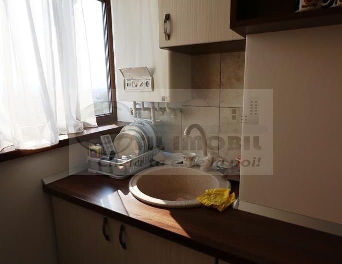 Apartament 2 camere Parcul Copou - Universitatea Al. I Cuza--520 EURO - Poză 11