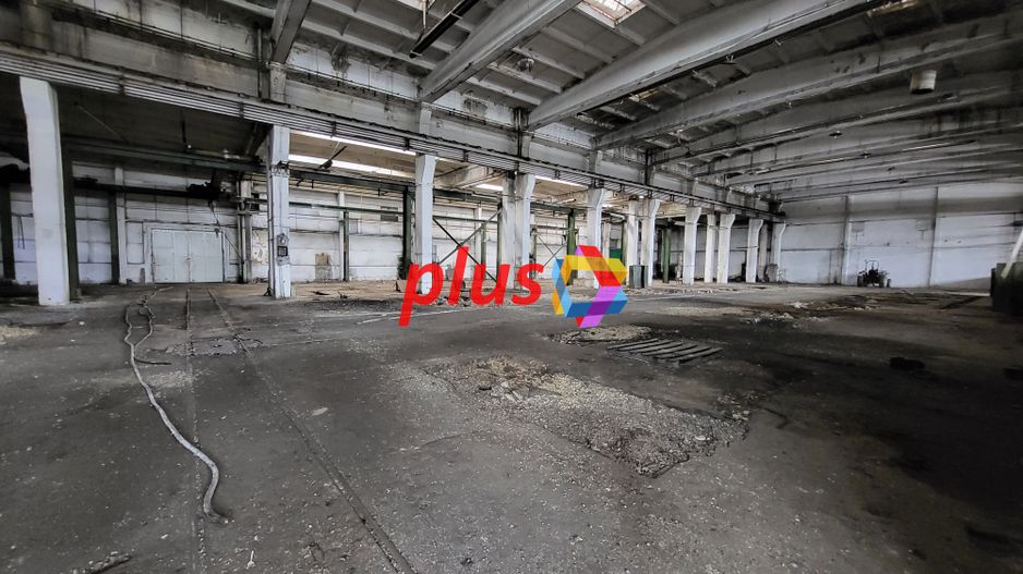 Hala - 3013 mp  # plus-imo.ro - Poză 4