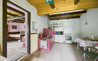 Casă tradiţională cu anexe în ODVOŞ, comuna Conop. - Poză 4