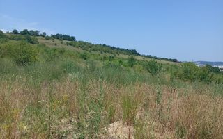 Teren de vanzare | 8800 mp | Viile Dealul Mic - Poză 2