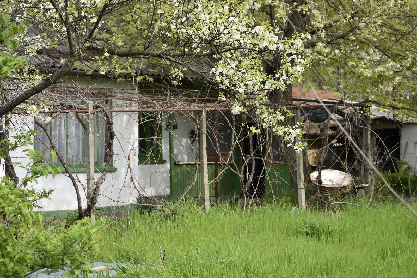 CASĂ TRADIȚIONALĂ CU GRĂDINĂ GENEROASĂ ȘI VIE – ISACCEA, JUD. TULCEA - Poză 1