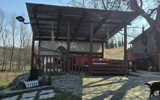 Proprietate de excepție în Lelești – la doar 8 km de Târgu Jiu - Poză 38